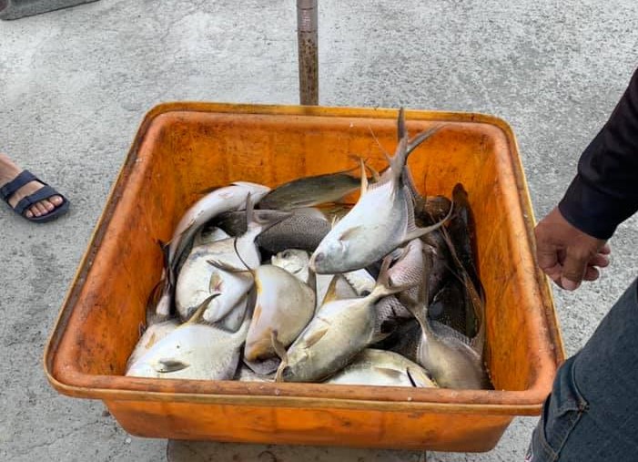 因深知弱勢家庭的難處，粘老闆捐魚貨，替小朋友加菜。（翻攝自海釣場臉書）