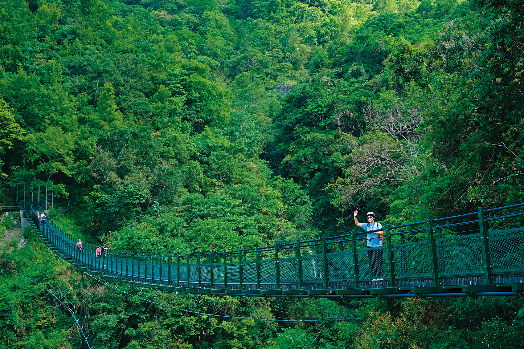 橫跨拉庫拉庫溪谷的山風一號吊橋，位於步道1公里處，是可感受古道濃濃綠意的景點。