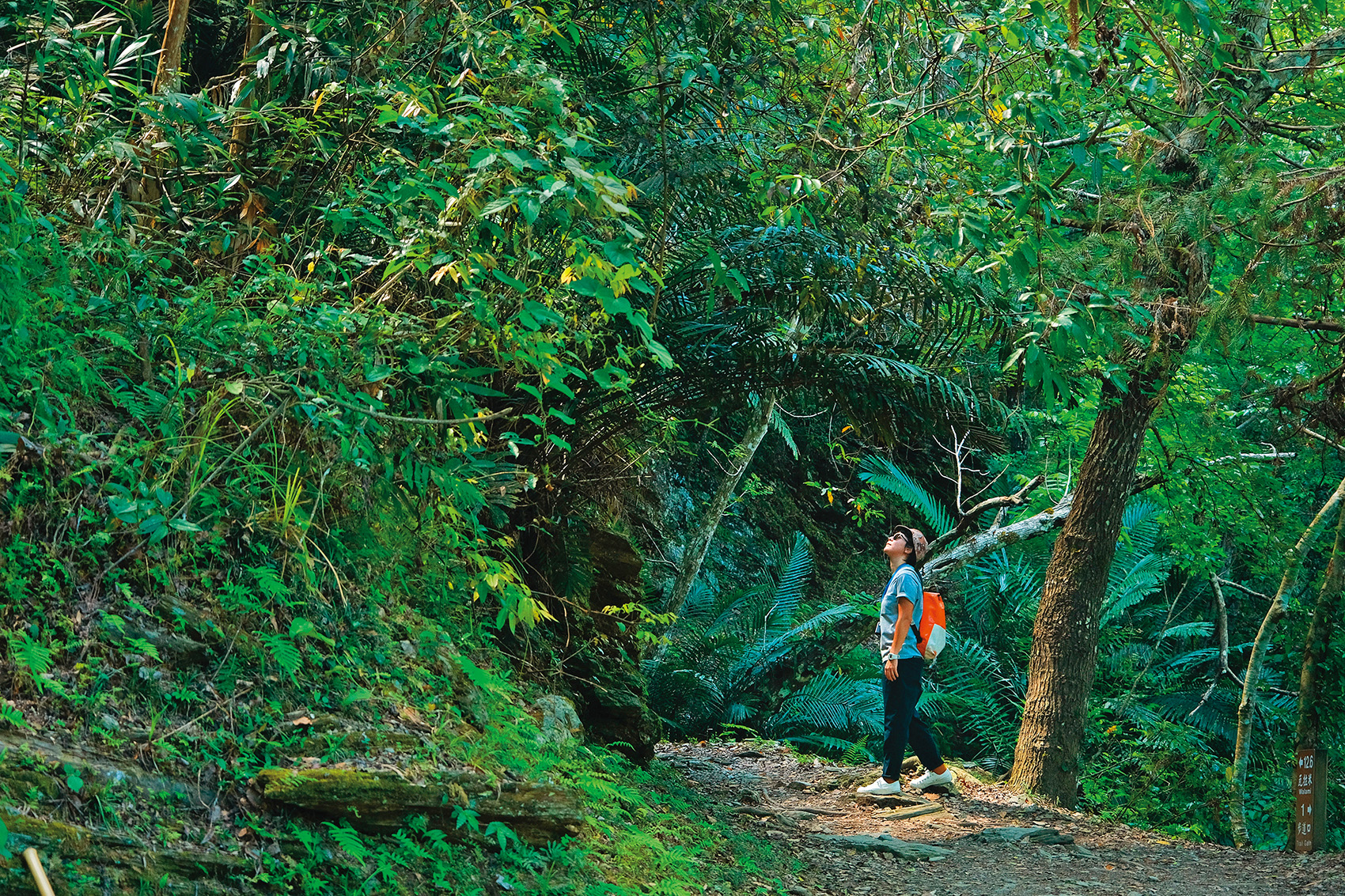 疾管署提醒，民眾夏季出遊踏青，務必做好個人防護，避免恙蟲叮咬。