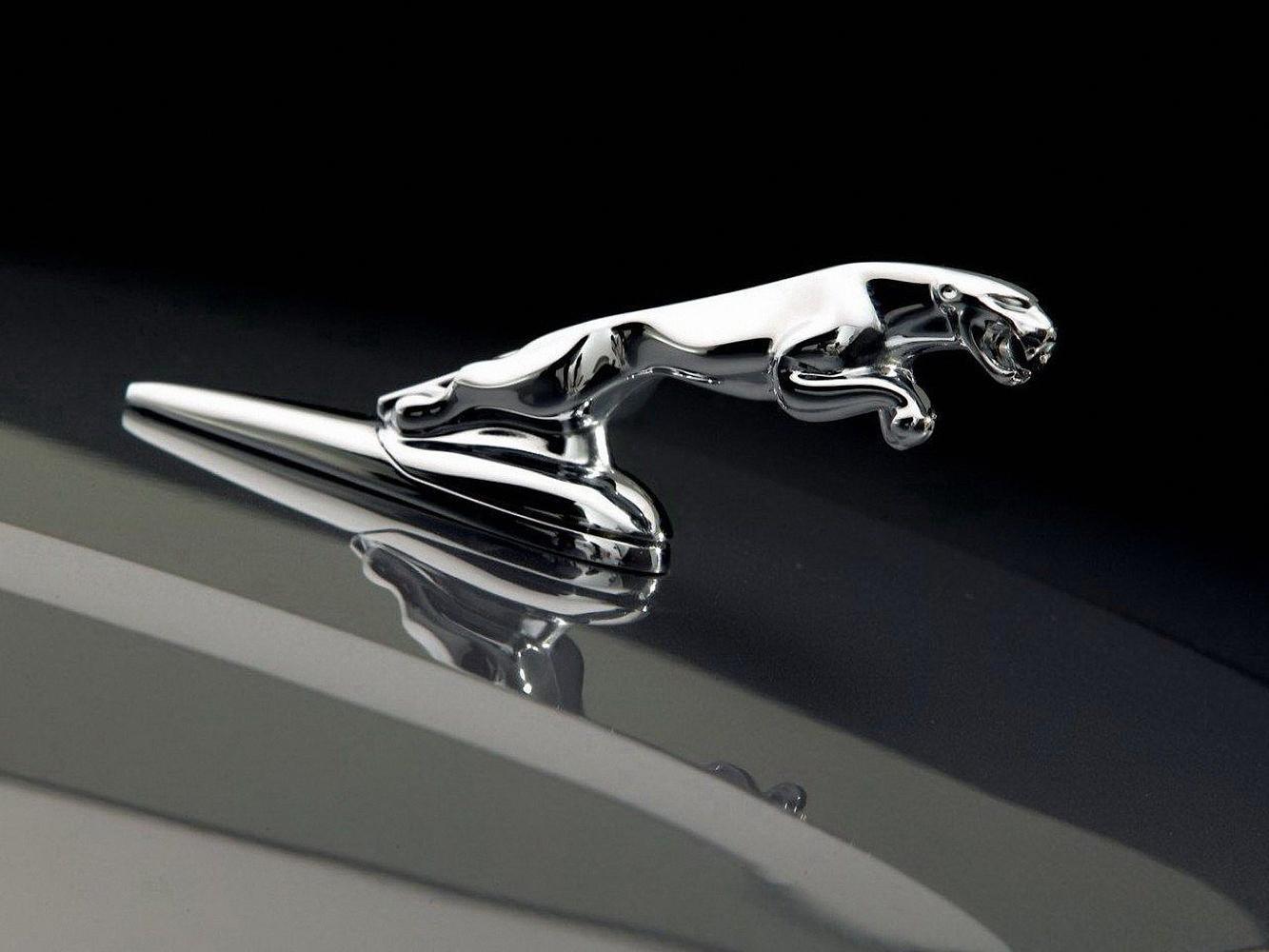 設於車頭的JAGUAR美洲虎立標，算是動物廠徽中最忠於原本形象的經典設計。