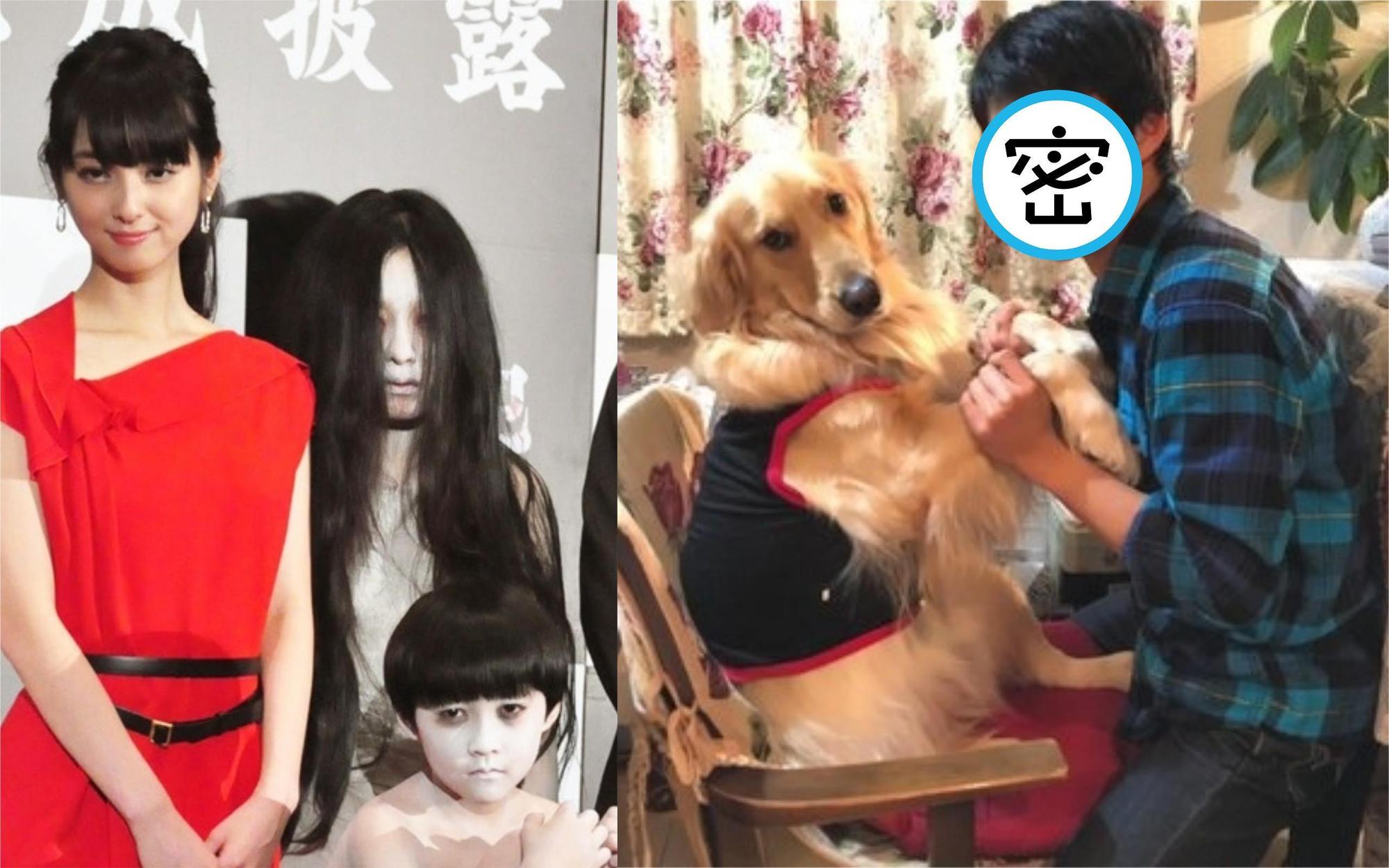 小林颯(左圖右下)當年在電影《咒怨:終結的開始》飾演俊雄,出席記者會時全程撲克臉還嚇到佐佐木希,現在他已14歲。(左圖翻攝cinemacafe,右圖翻攝小林颯Instagram)