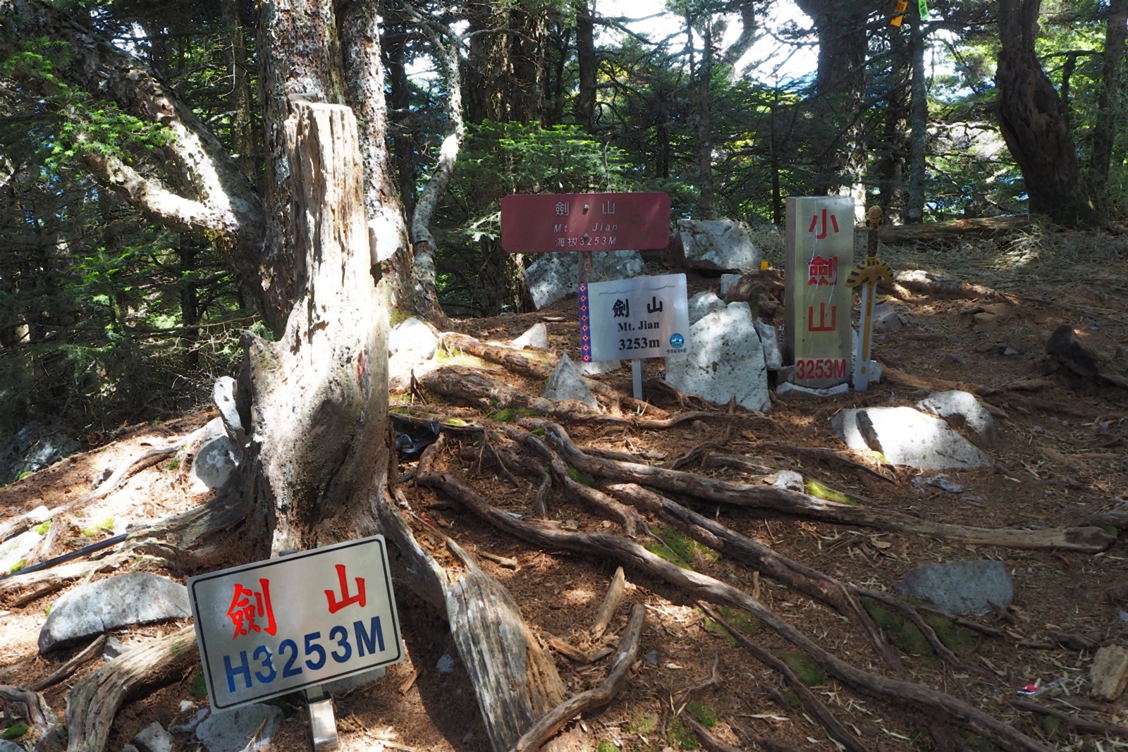 劍山又稱為小劍山，海拔3,253公尺，屬「九嶂」之一，山頂無展望，為岳界四大鳥山之一。