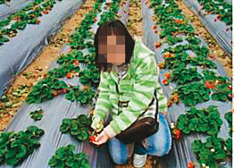 20歲護專女學生(圖)只因提出分手要求,竟慘遭男友殺害。(翻攝網路,圖經變裝變色處理)
