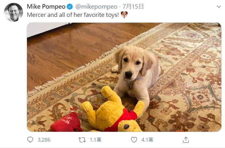 蓬佩奧貼出愛犬的照片,圖中的維尼熊引起討論。(翻攝自蓬佩奧推特)