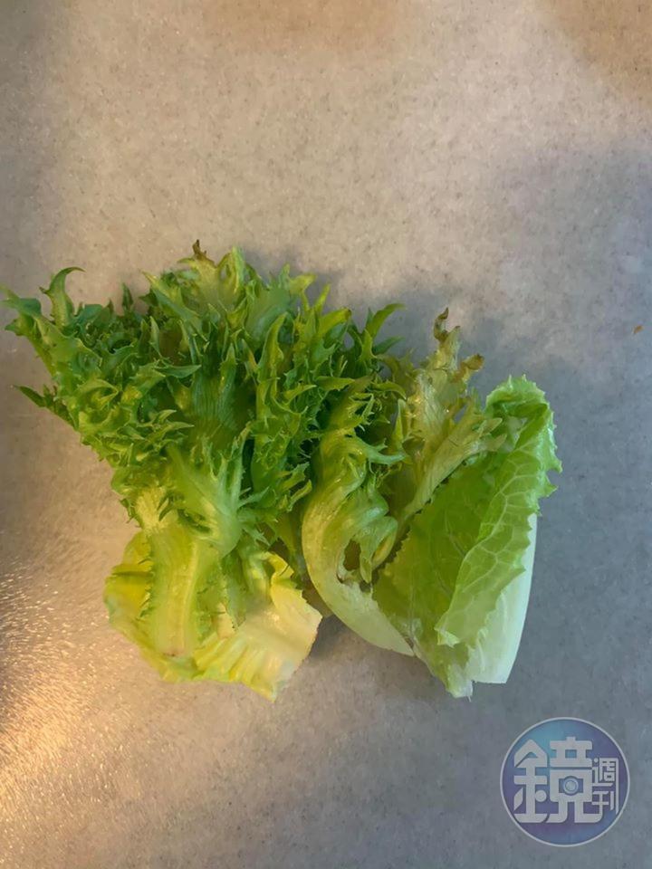 今天用的生菜是火焰萵苣及蘿蔓葉。
