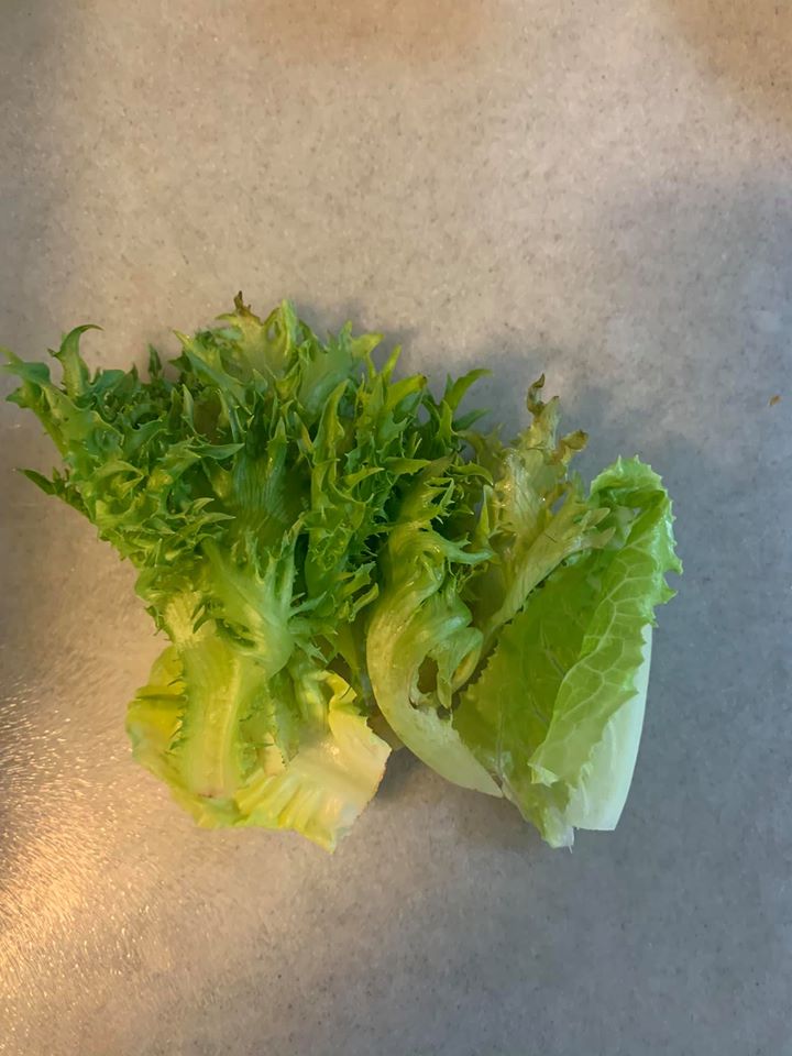 今天用的生菜是火焰萵苣及蘿蔓葉。