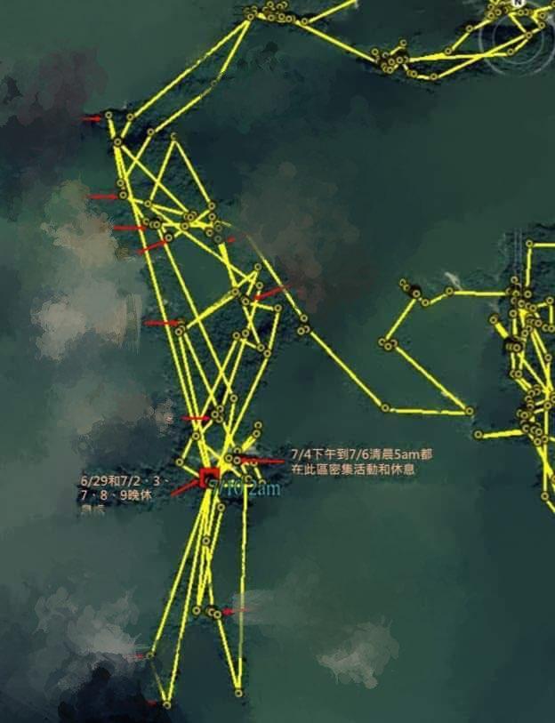 林務局公布廣原小熊野放2個月的生活軌跡,背景地形已做模糊處理。(翻攝自林務局森活情報站臉書)