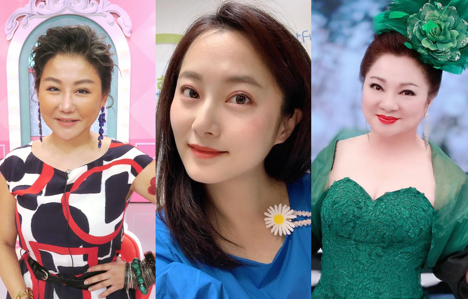 演藝圈不少女星，花了大錢、吃了苦頭，「送子鳥」就是未曾眷顧。  （翻攝自臉書）