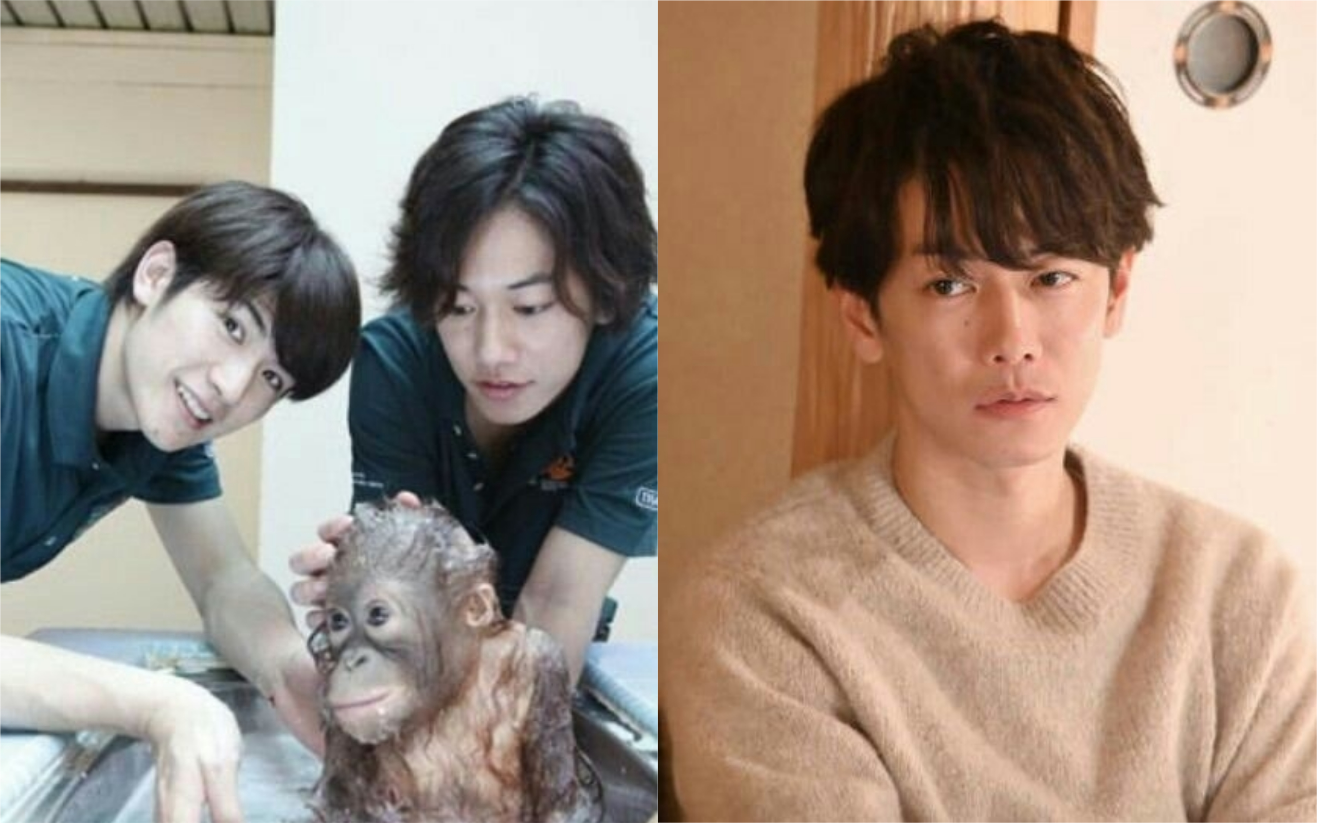 三浦春馬（左圖左）和佐藤健是同經紀公司的工作夥伴，私下也是好麻吉。（翻攝網路）