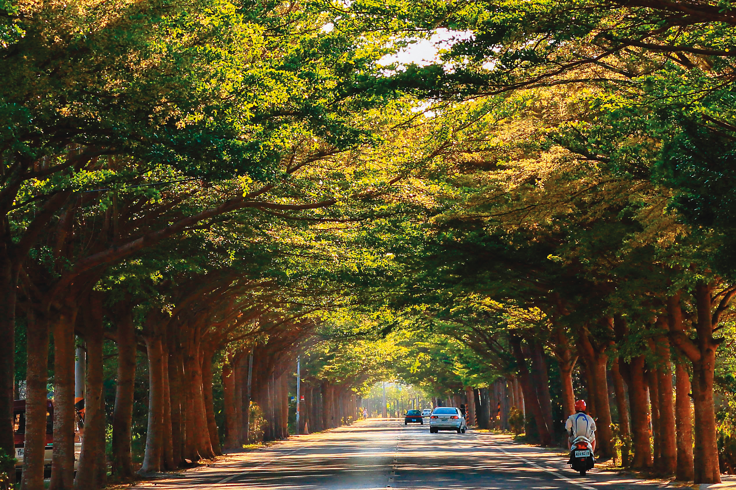 山海圳綠道是一條乘載著臺灣歷史文化、自然環境與族群文化特色的國家級綠道。（臺南市政府觀光旅遊局提供）