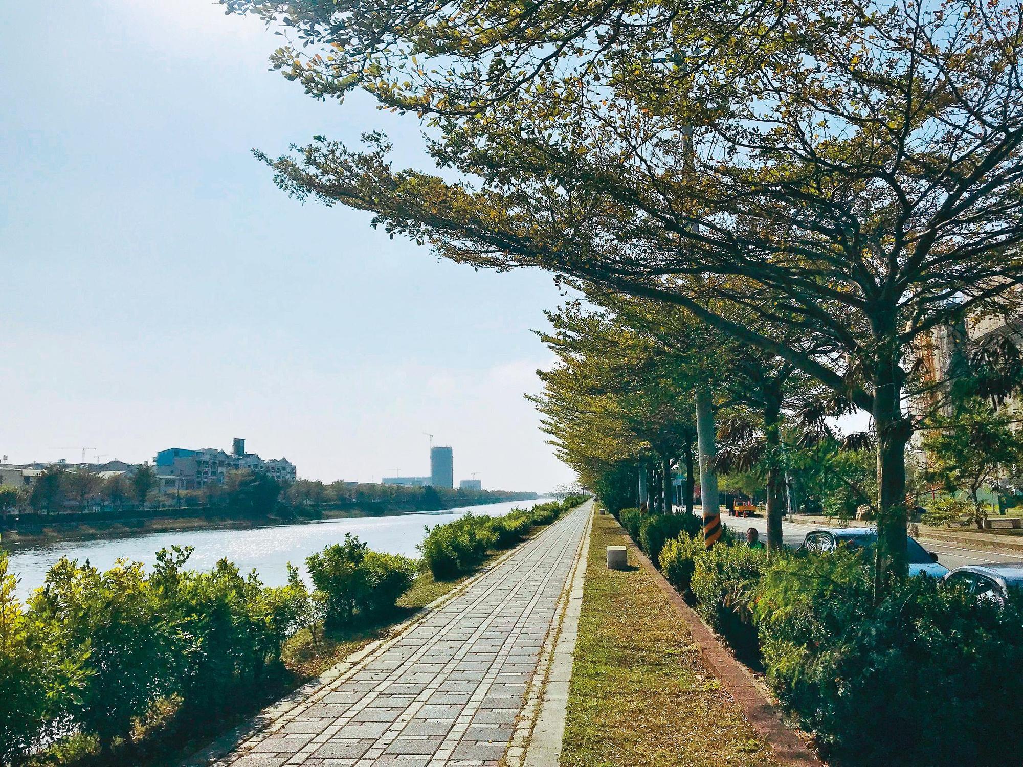 學甲區174 線公路段的小葉欖仁,每每到了春天就會形成近1 公里長的翠綠隧道。(臺南市政府觀光旅遊局提供)