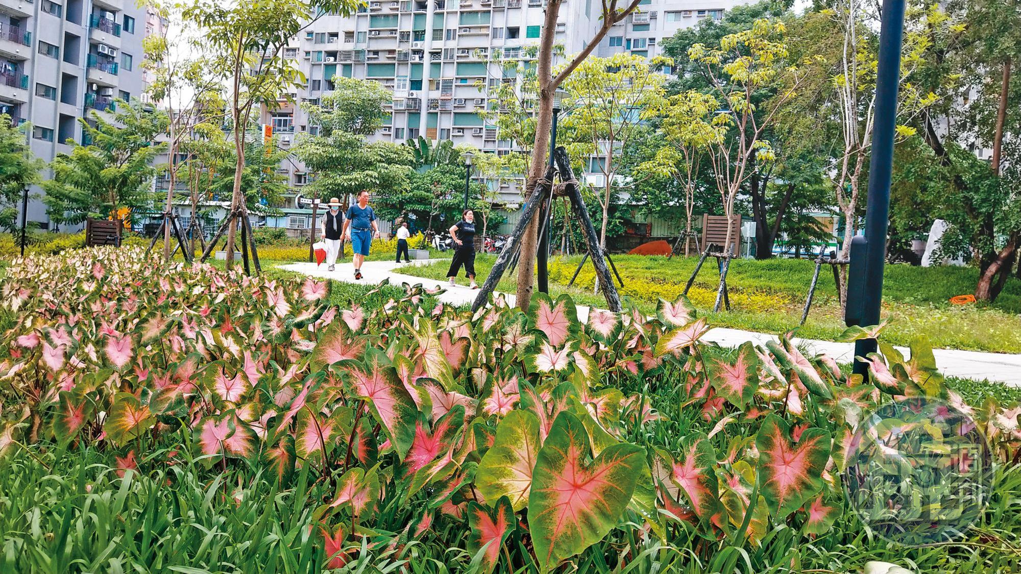 祥合公園位在大樓叢林間,面積約1萬3,700平方公尺,實現了永康人20年的公園夢。