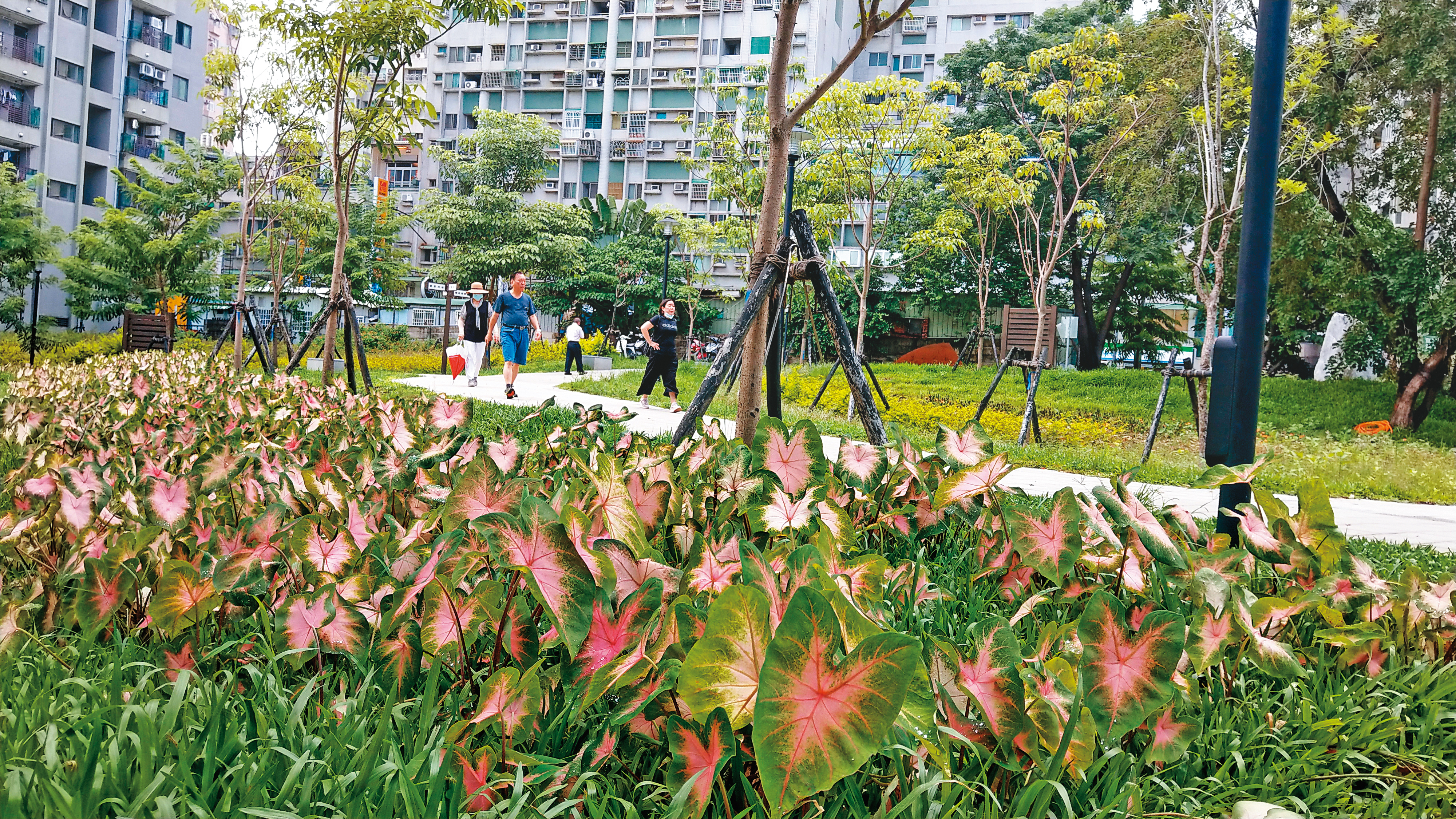 祥合公園位在大樓叢林間，面積約1萬3,700平方公尺，實現了永康人20年的公園夢。