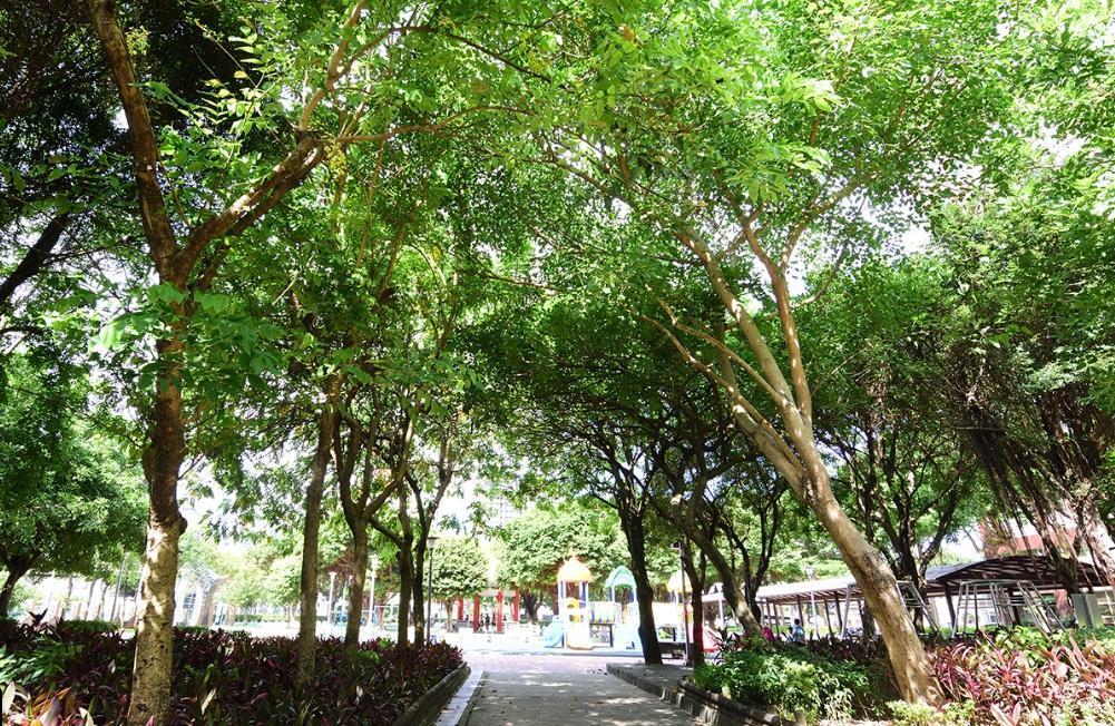 今(24日)凌晨5時新北市板橋區華江公園內,驚傳命案。圖為華江公園。(翻攝自googlemaps)