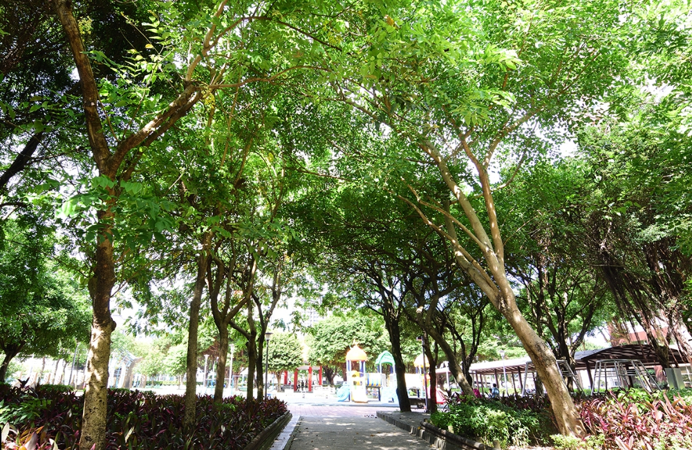 今（24日）凌晨5時新北市板橋區華江公園內，驚傳命案。圖為華江公園。（翻攝自googlemaps）