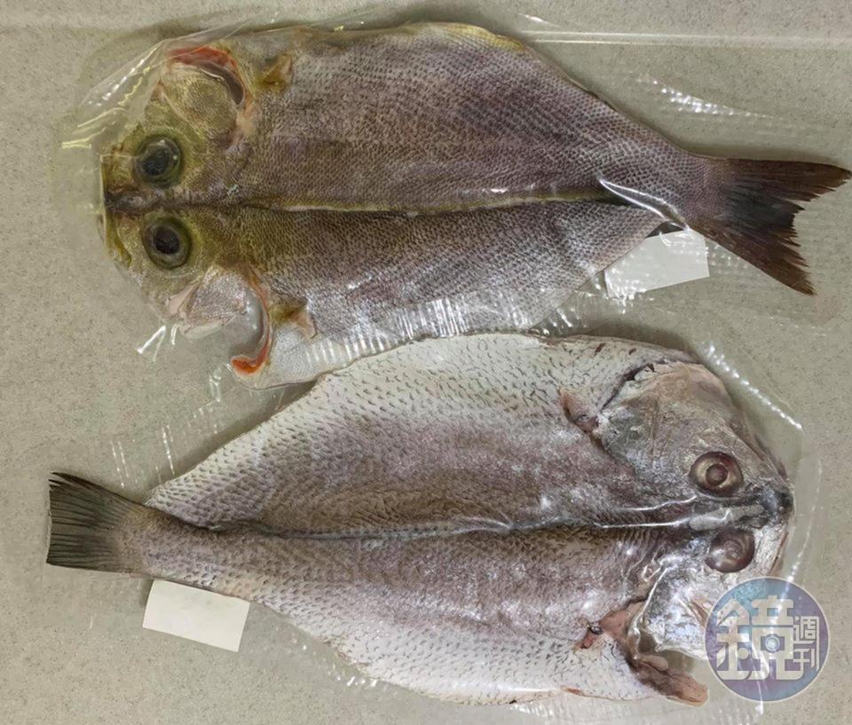 今天準備的是黃雞魚與黑喉的一夜干。