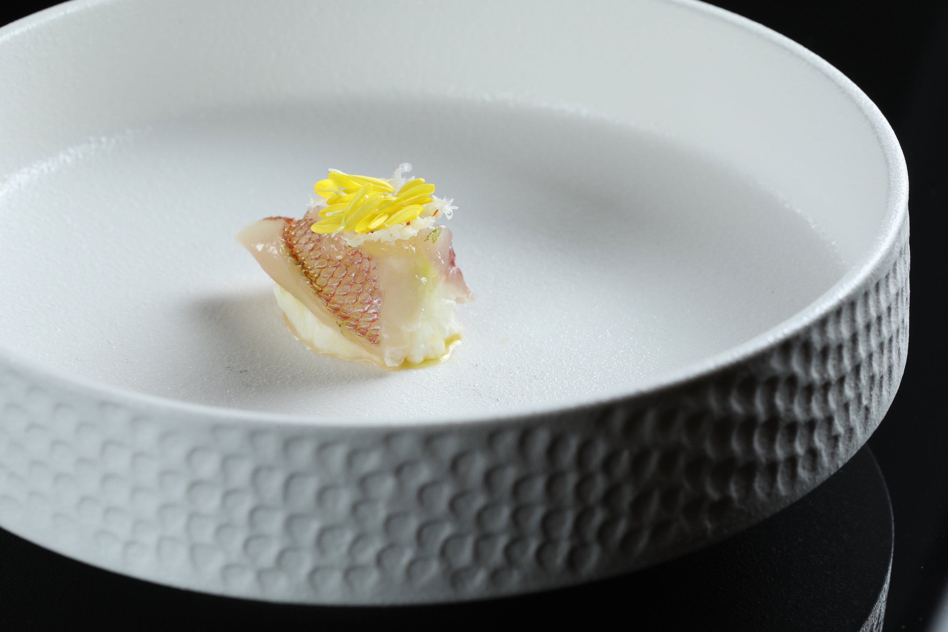 東北角的春子鯛與絲綢乳酪，是壽司芳主廚中之上公起在台灣獨家的創意菜。