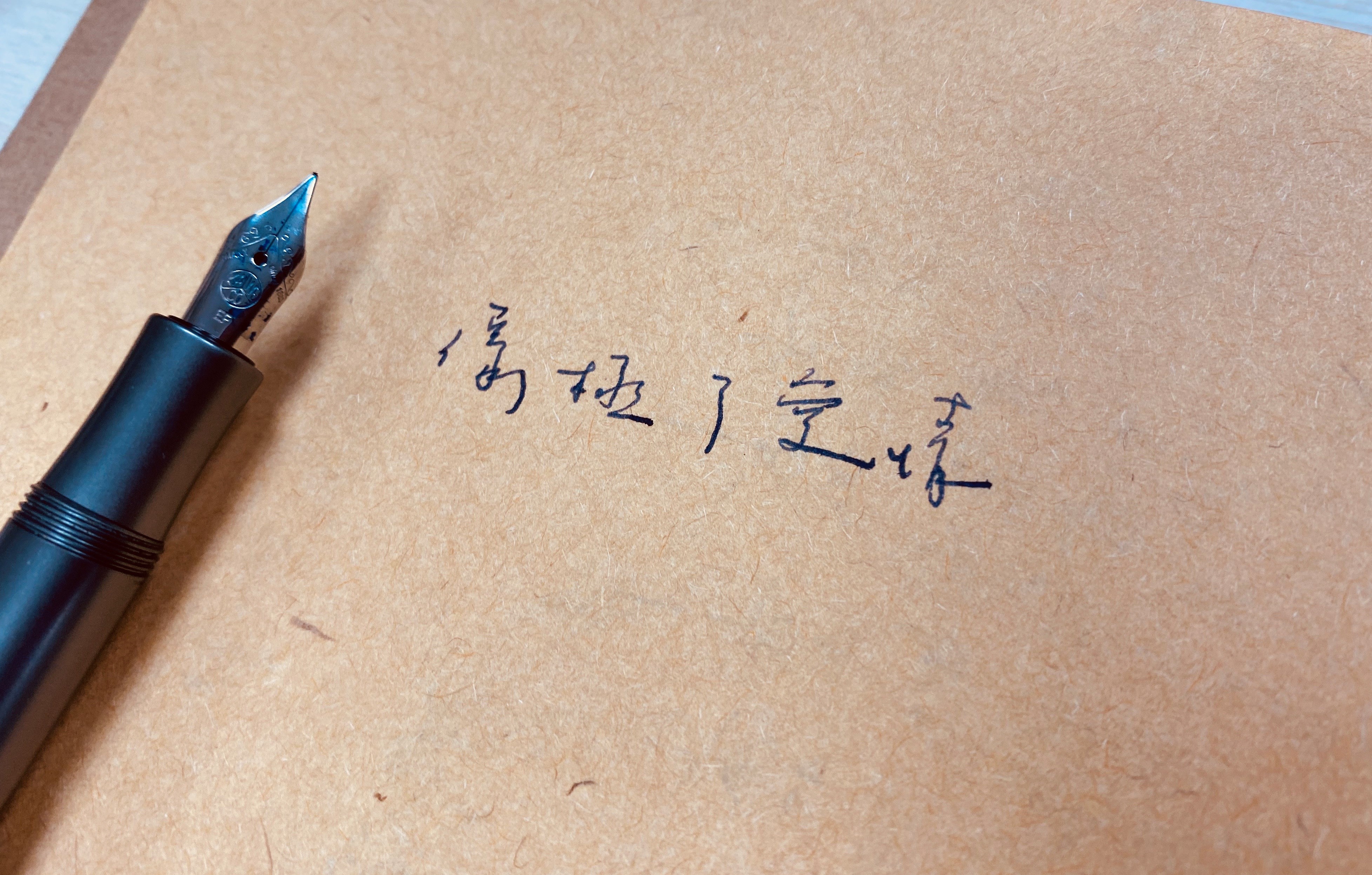 網友瘋傳，任何句子後面加上「像極了愛情」都能像在寫詩。