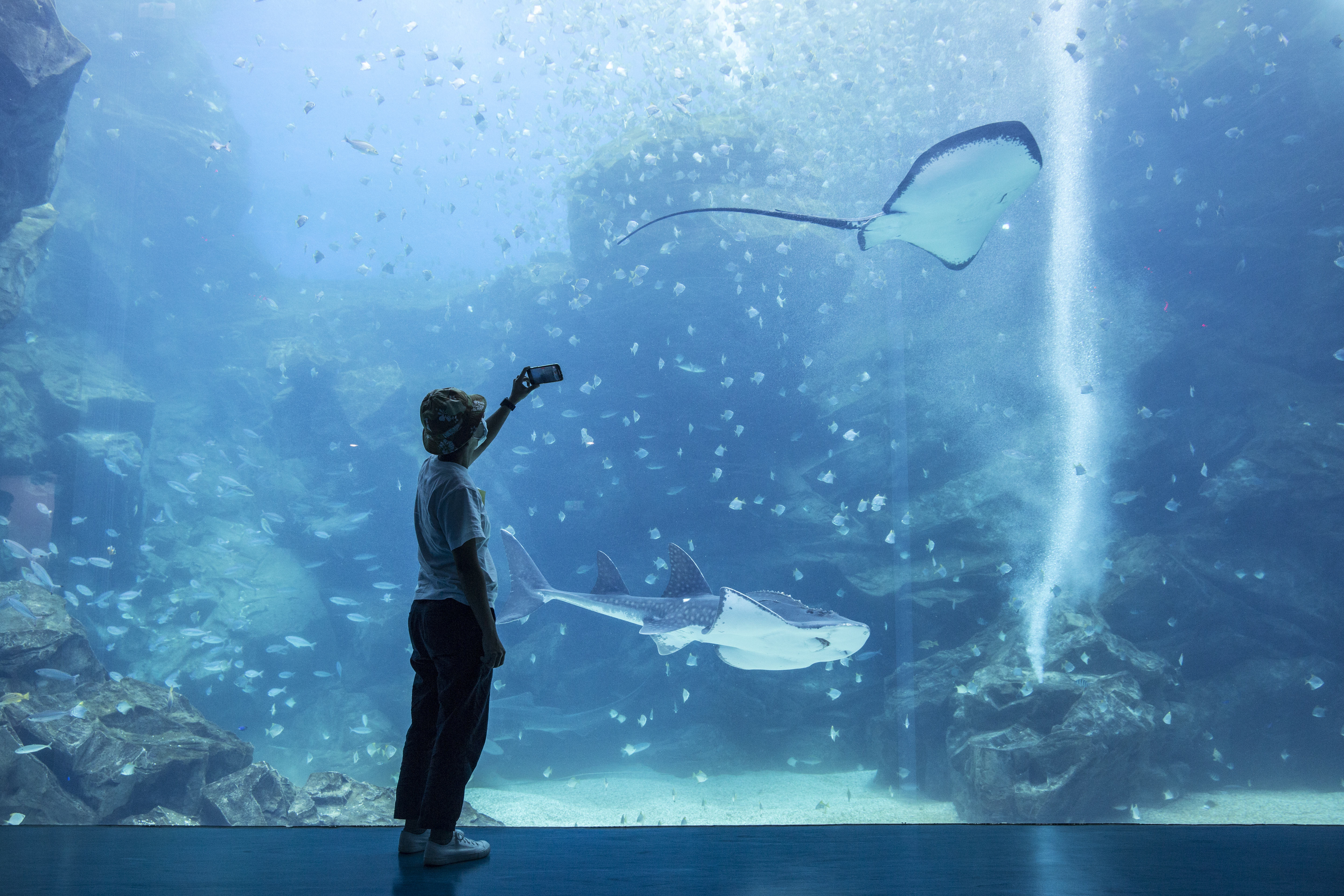 一踏進Xpark就會看到挑高8公尺、寬12公尺的露天大水槽，內有超過6000隻銀鱗鯧漫遊海底。 