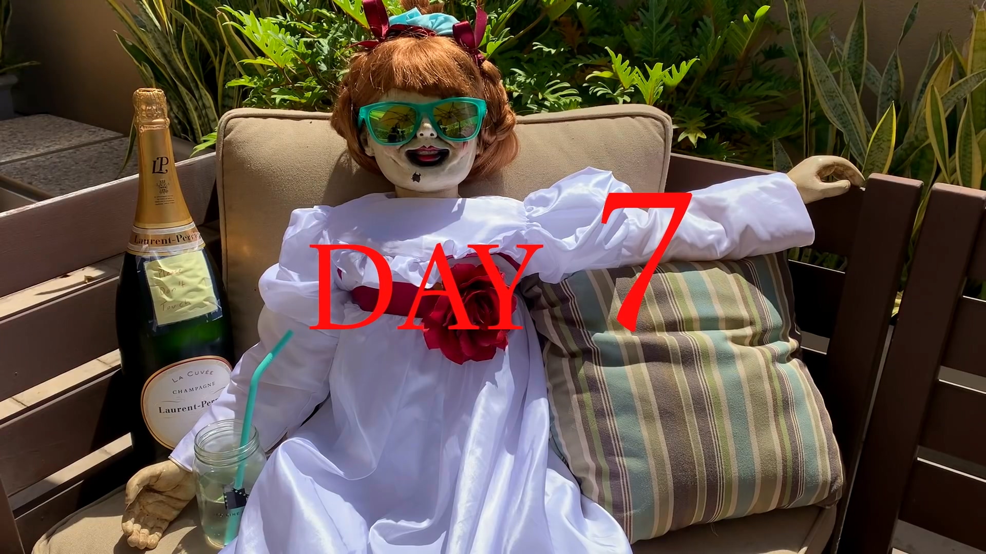 有好久一段時間沒有聽到安娜貝爾的消息，電影公司發表了她的疫情日記短片以饗粉絲。（翻攝自安娜貝爾疫情日記短片）