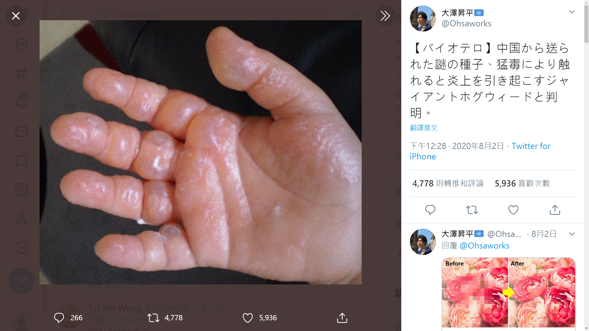 仇中網友宣稱中國種子是有毒植物,觸碰毒液有如火燒。(翻攝大澤昇平Twitter)