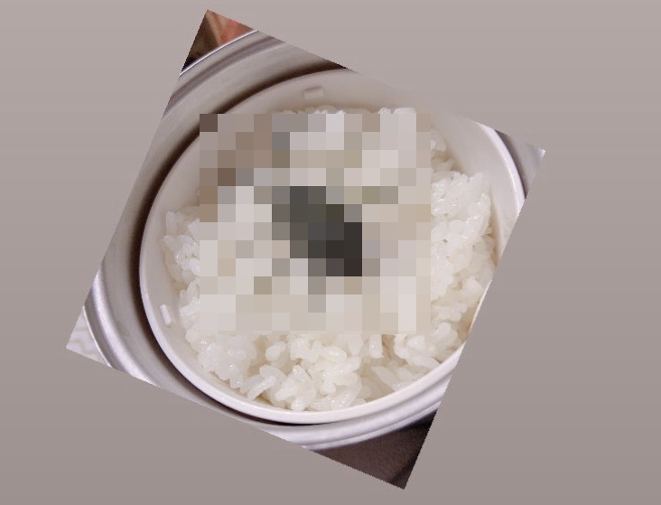 日本人妻將海苔剪成蟑螂的樣子，放在白飯上面做成「蟑螂」便當，想要惡整老公。（翻攝自推特Mq8lm1ZTPoEbfp2）