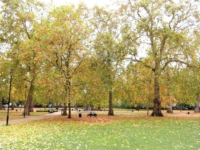 英國一名20歲美眉與青梅竹馬在公園野戰，沒想到卻因為喬姿勢不慎遭男方勒斃。（示意圖，photo-ac）