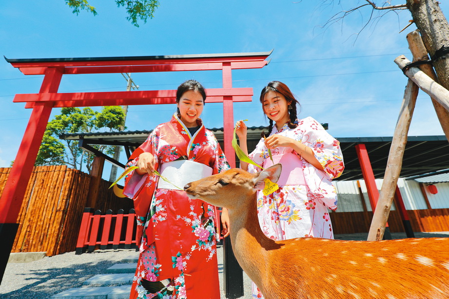 穿上日本浴衣，餵食梅花鹿，頓時有一種到了日本奈良的感覺。