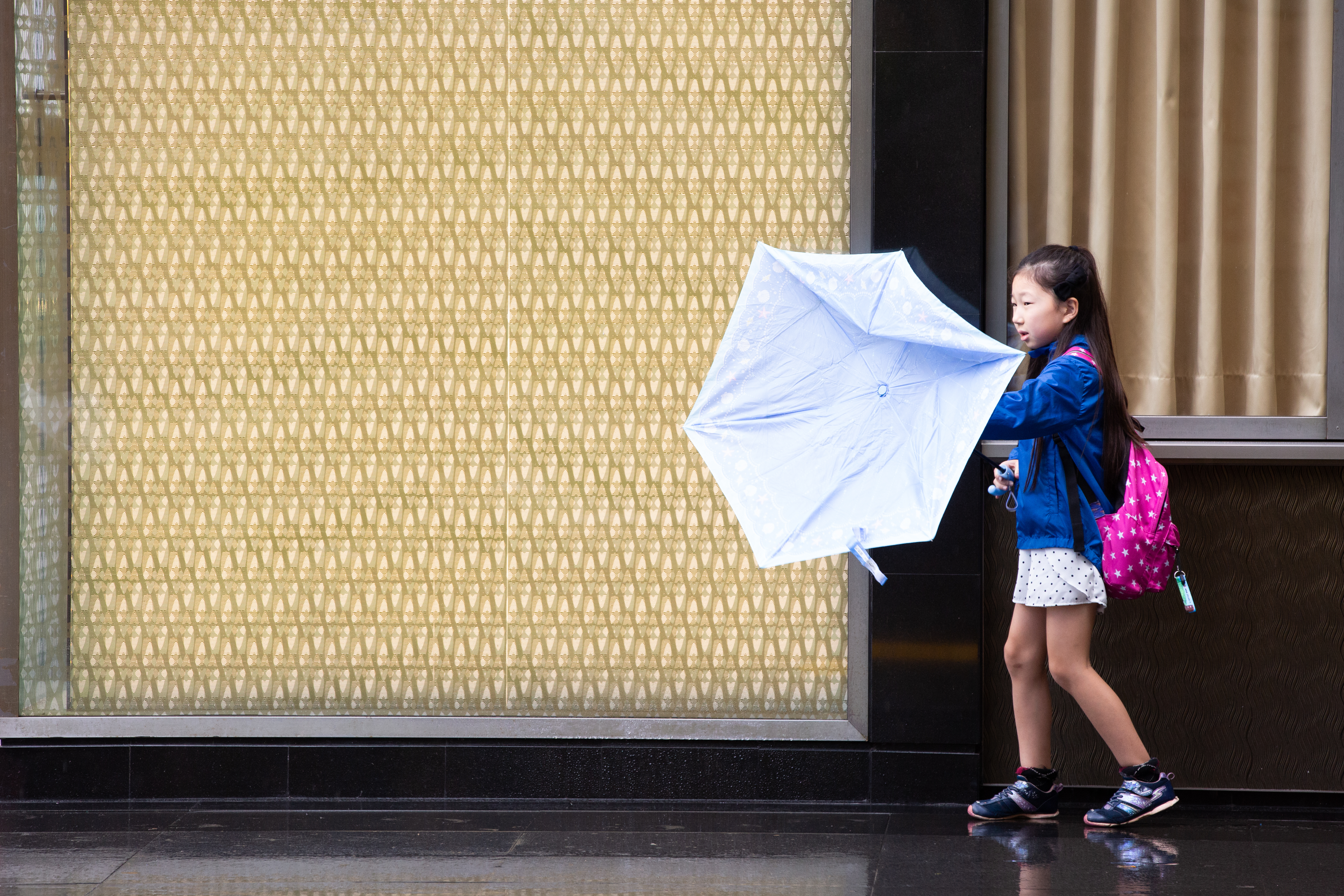 賈新興預估，今年生成的颱風最多可能20個。