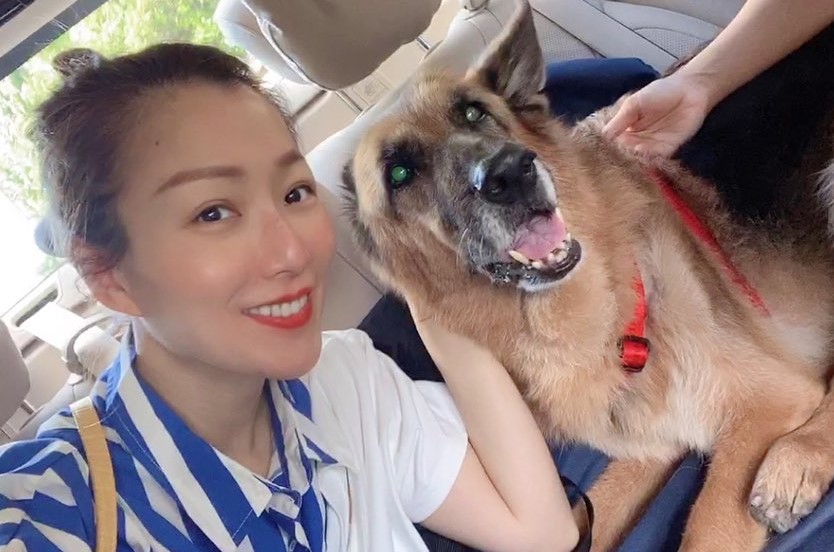 不捨毛小孩Lucky的身體狀況每況愈下，讓鄭秀文在IG發文。（翻攝自鄭秀文IG）