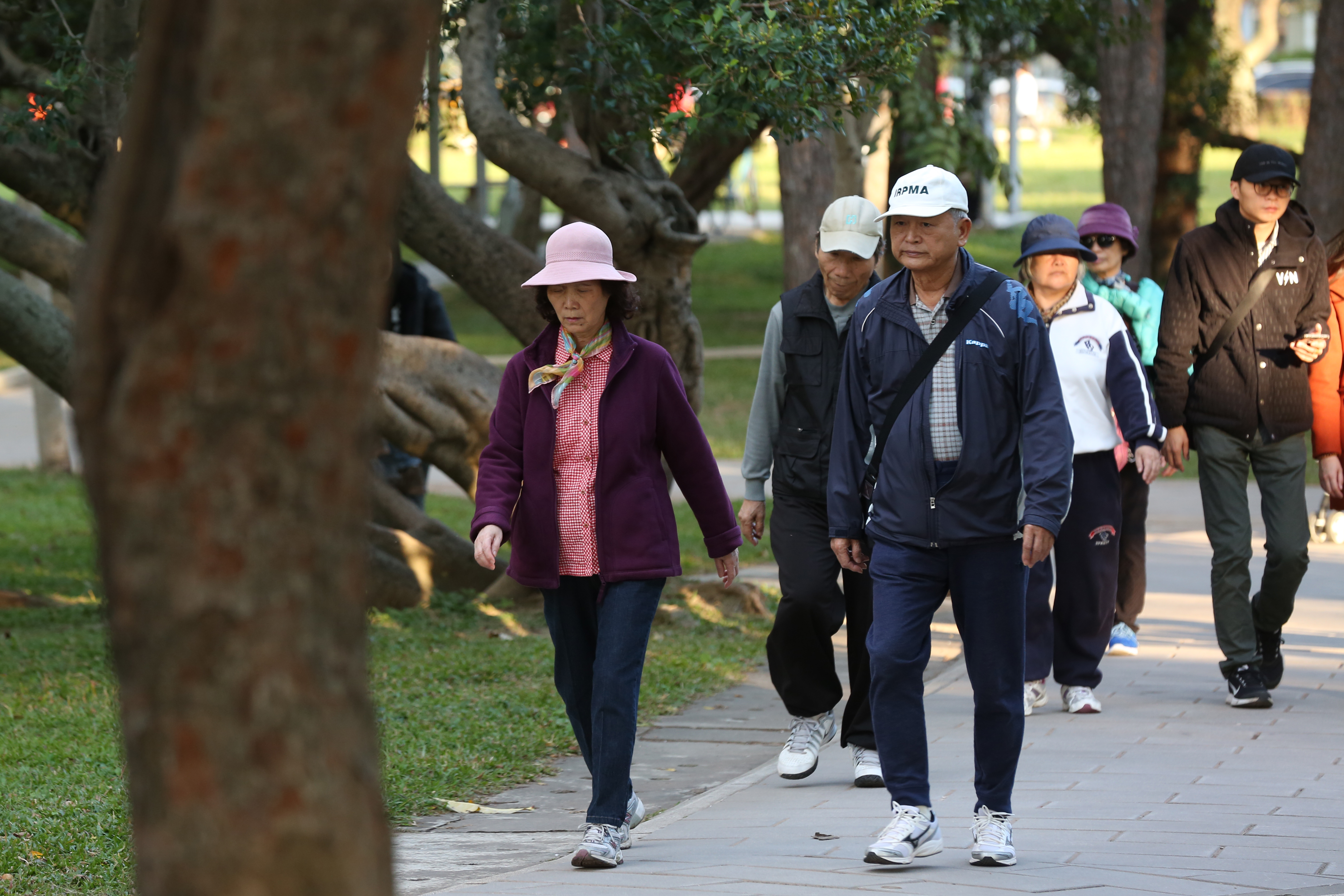 台灣投資人熱愛高息ETF，專家表示，該產品特別適合需要穩定現金流的退休族群。