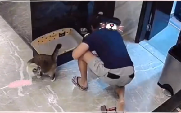 陳榮煉見到兒子將貓糧放進嘴裡，急忙想把貓糧挖出來，把兒子嚇得大哭。（翻攝安以軒微博）