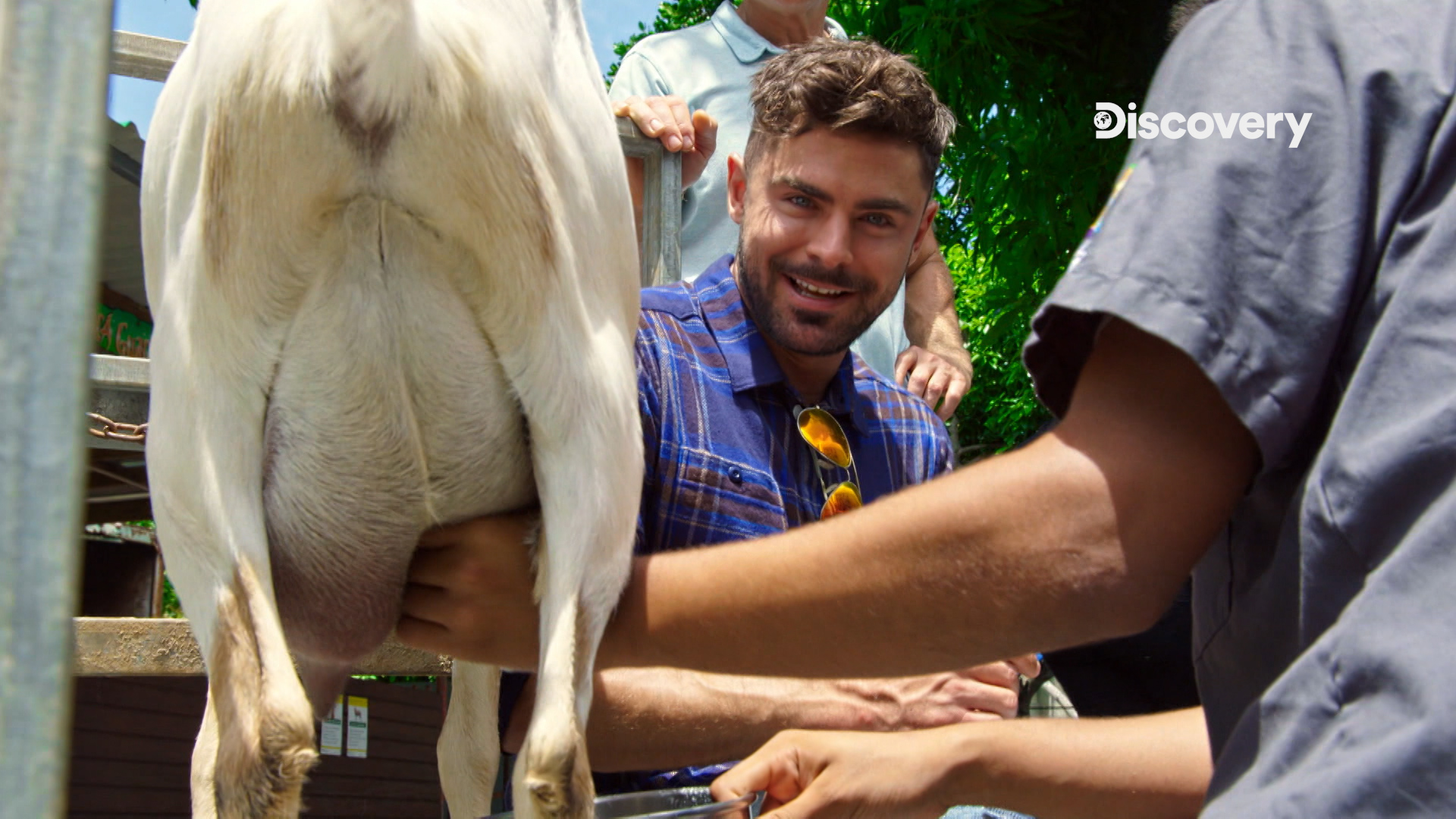 柴克艾弗隆造訪被颶風侵襲後的災區，在農場親自體驗擠羊奶。（Discovery頻道提供）