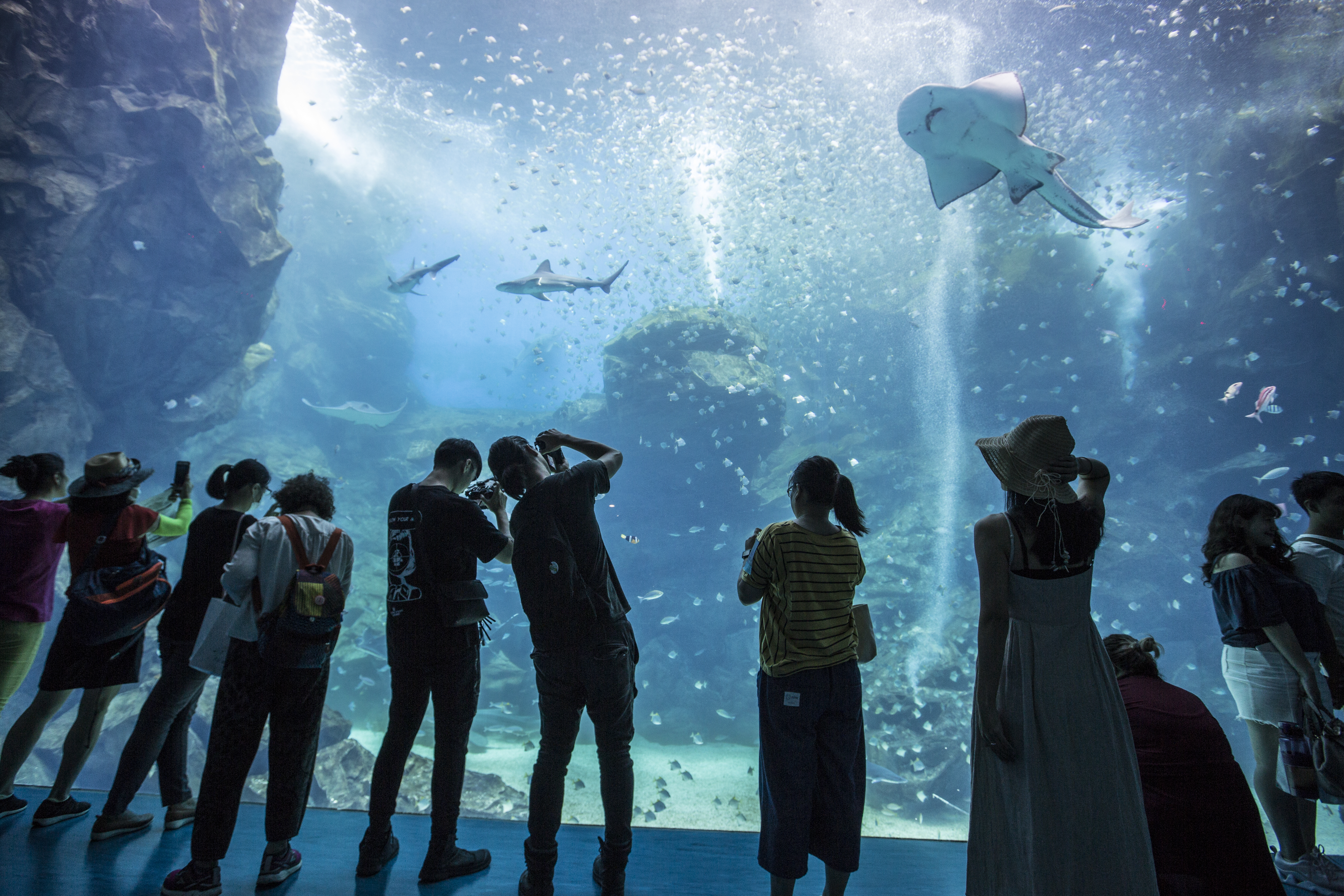 隨著IKEA、XPark等商場進駐，青埔人氣帶動買氣，房價也跟著水漲船高。