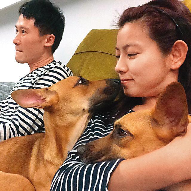 決定不生小孩的米可白與謝銘杰,把狗寶貝當成小孩疼愛。(翻攝自米可白IG)