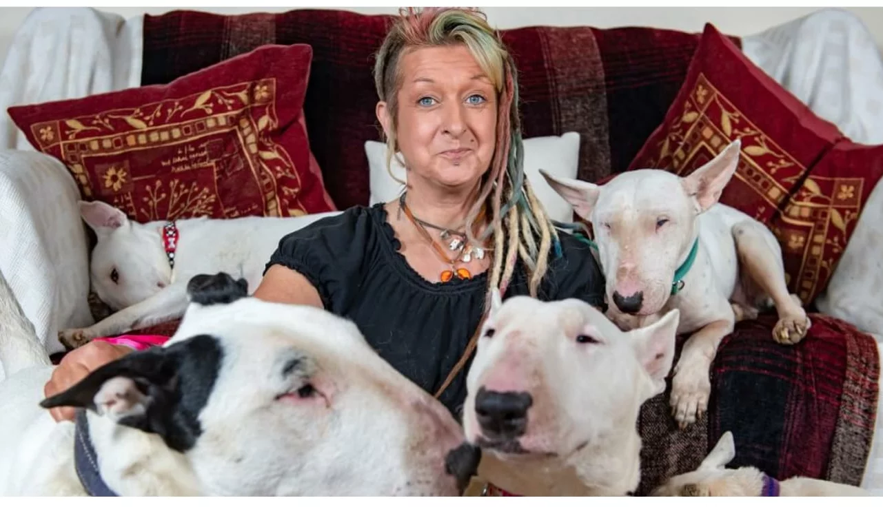 將救援英鬥視作畢生志願的愛狗人士莉茲。(Beds For Bullies官網)