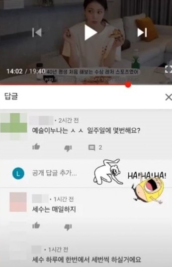 韓藝瑟截圖網友留言附上大笑貼圖，分享在IG上。（翻攝韓藝瑟Instagram）