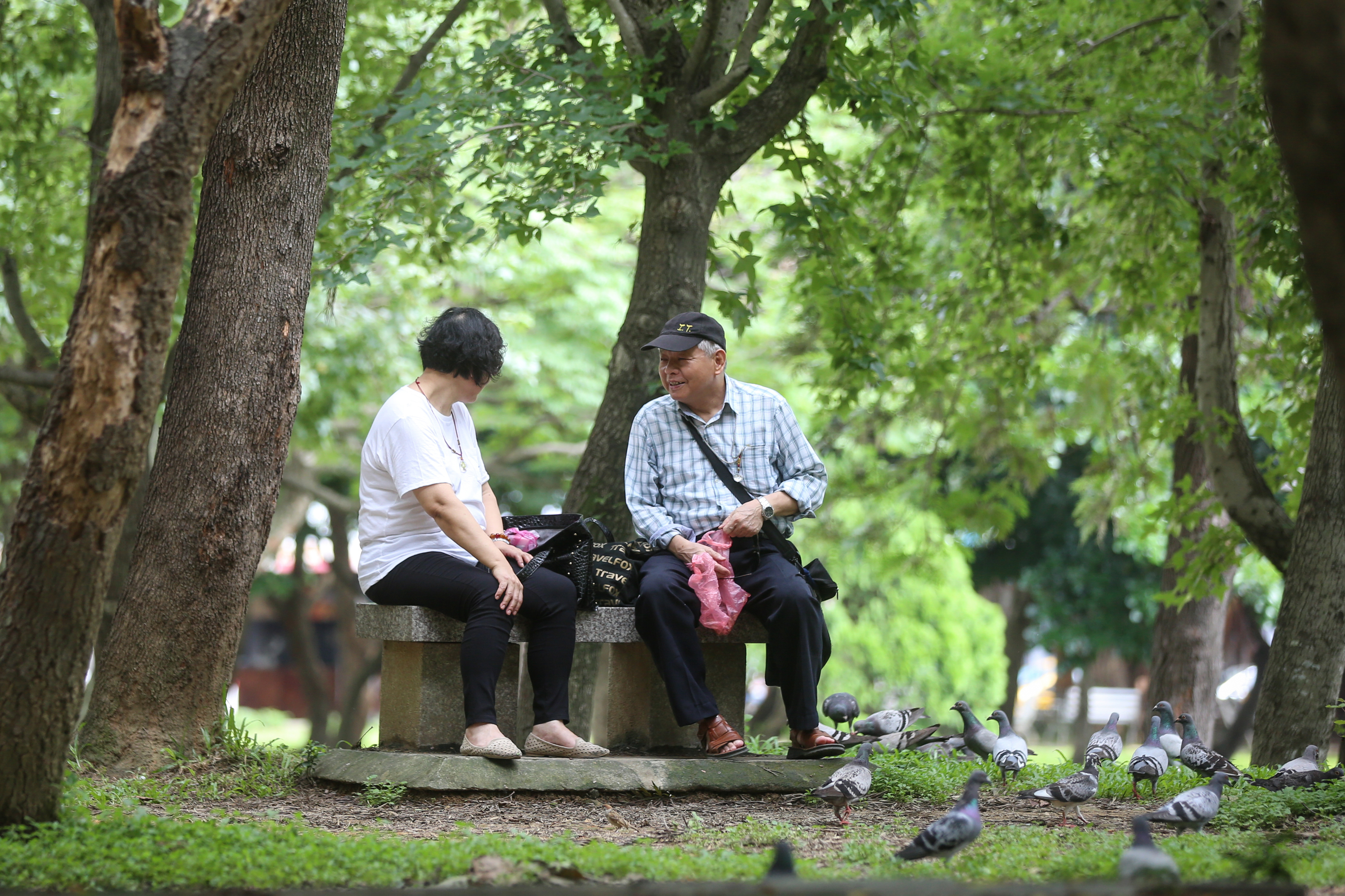 國內社會高齡化趨勢成形，退休金準備不足問題，成了現階段所有上班族心中的痛。