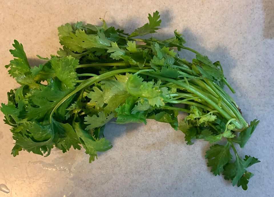 準備一把香菜。