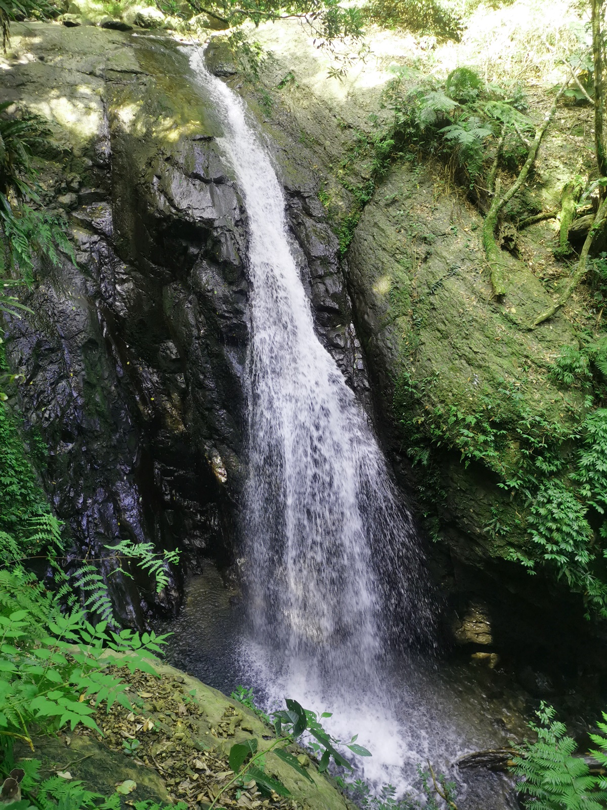 森山瀑布瀑型不高，水流較為湍急。