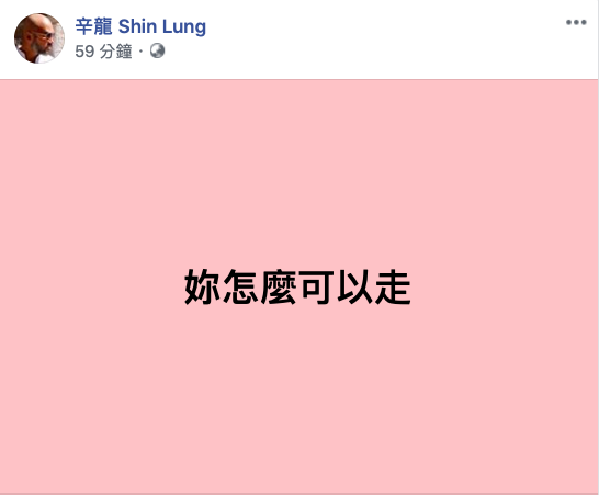 辛龍深夜突然發心痛文,短短6字都是思念。(翻攝自辛龍臉書)