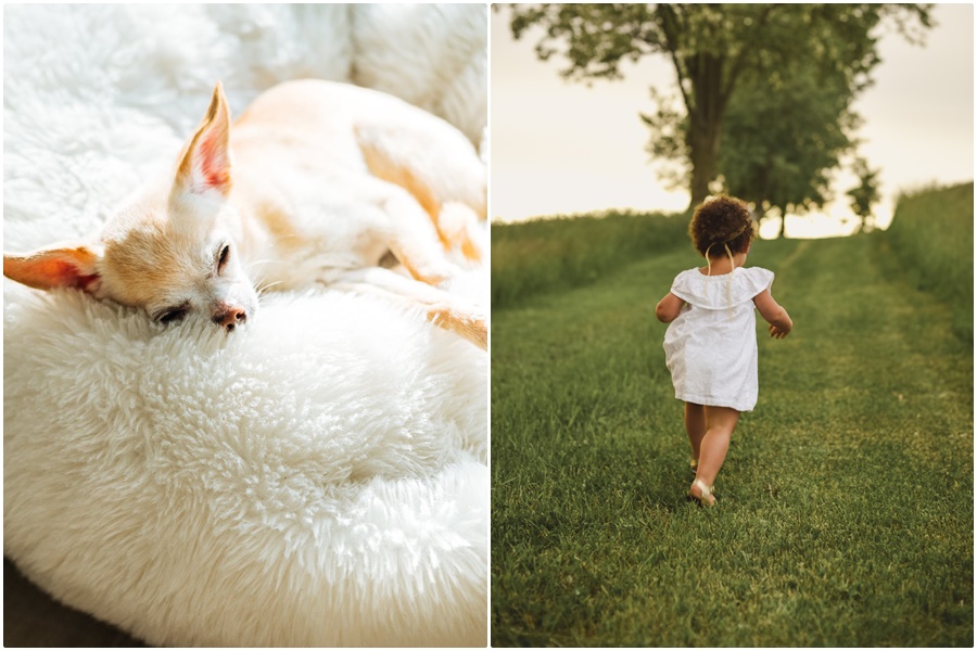 台北一名女銀行員家中愛犬去世，吃素3個月且每天唸經迴向給毛小孩，之後夢到狗狗化身女童還穿著白洋裝。（示意圖，圖源：pexels）