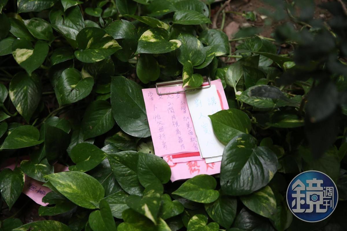 「孝字圖」「怕父母折壽」「增加見面機會」等手寫字樣，在凶案發生後四散在陸光社區中庭。（翻攝畫面）