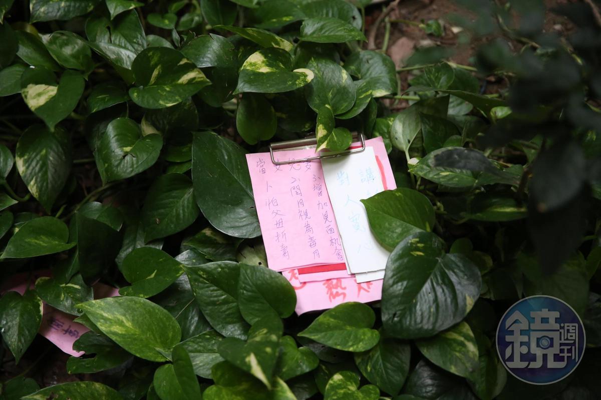 「孝字圖」「怕父母折壽」「增加見面機會」等手寫字樣,在凶案發生後四散在陸光社區中庭。(翻攝畫面)