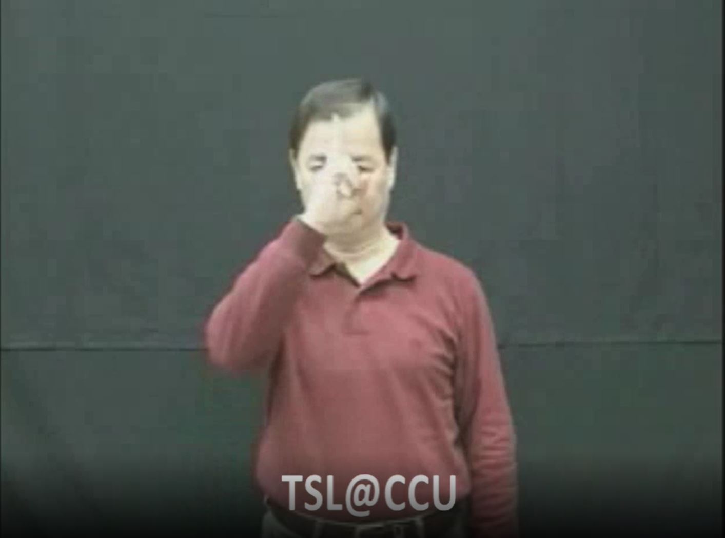 a-1 詞義「中午」；圖片來源：中正大學台灣手語線上詞典 http://140.123.46.77/TSL/