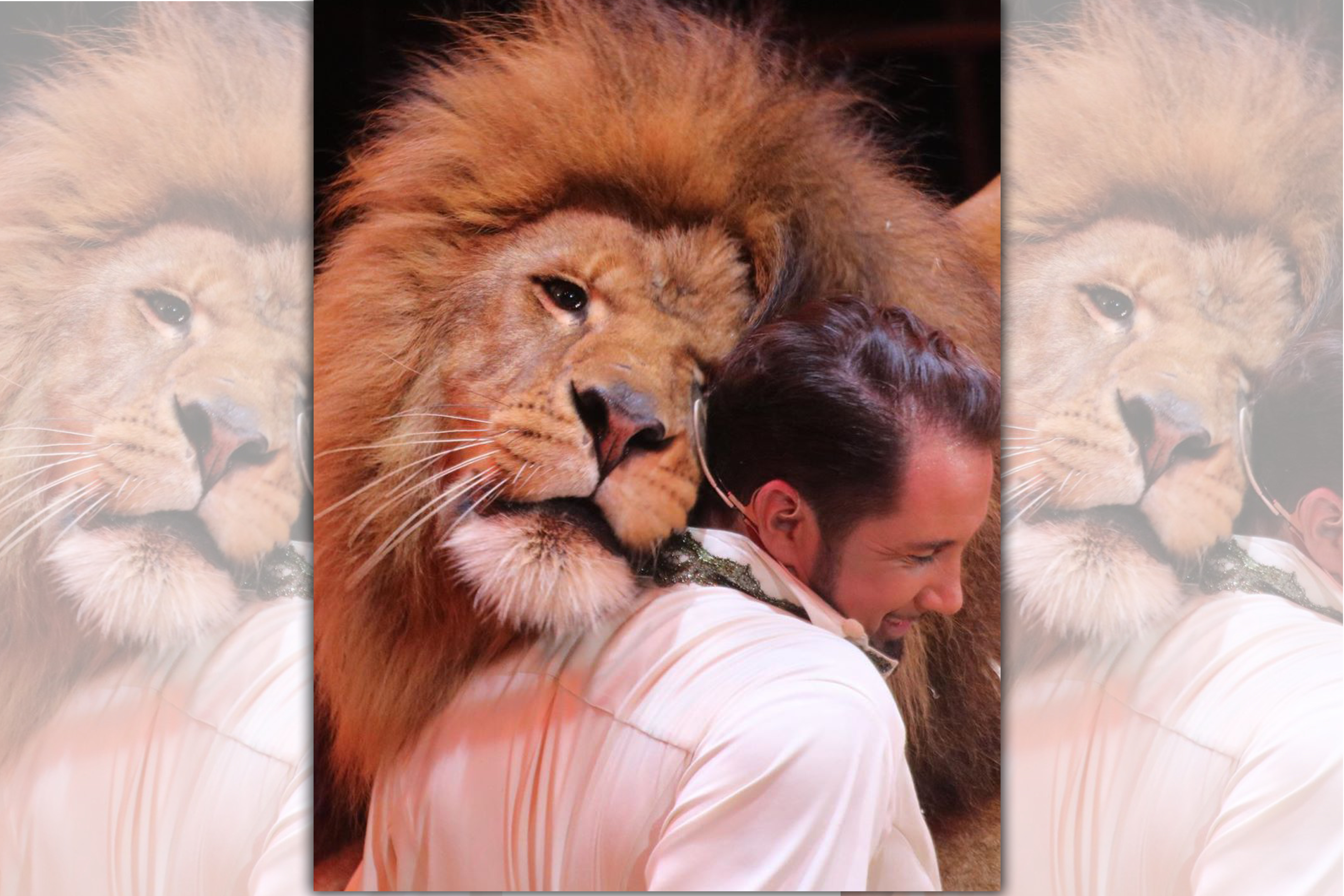 德國一間動物馬戲團突發奇想，把獅子糞便製成罐頭販賣。（翻攝Circus Krone Instagram，圖為訓獸師萊希，與當家明星Tonga。）