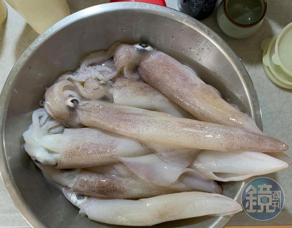 朋友送的現釣透抽,大小不一。