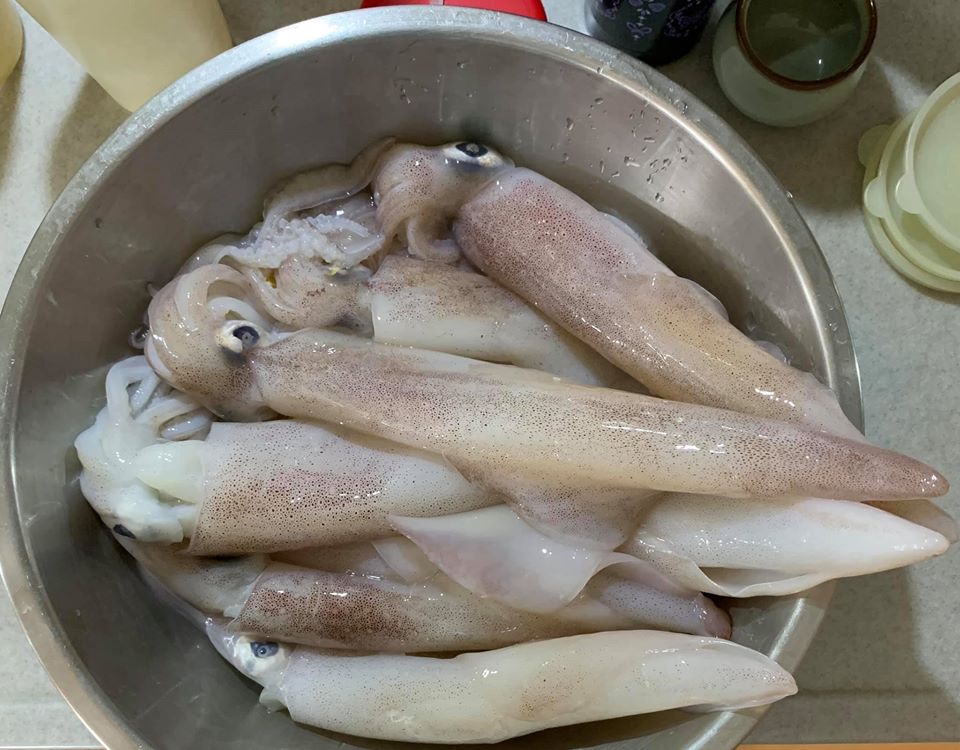 朋友送的現釣透抽，大小不一。