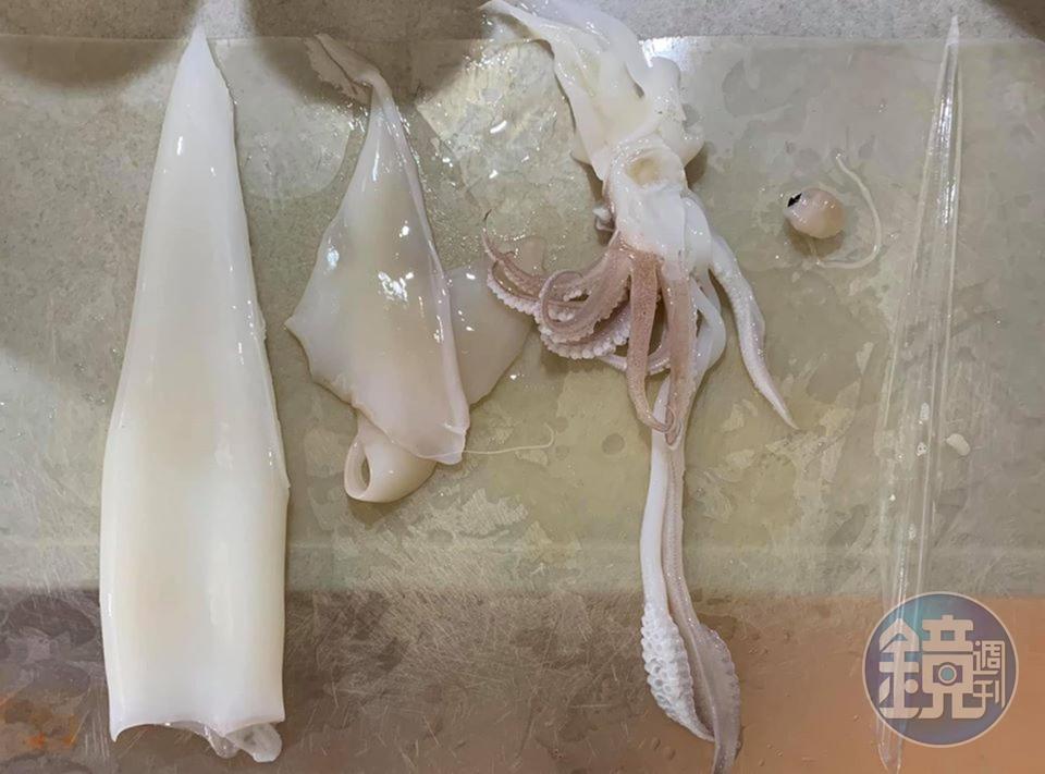 將每隻透抽去鰭、去皮、去骨、去嘴。