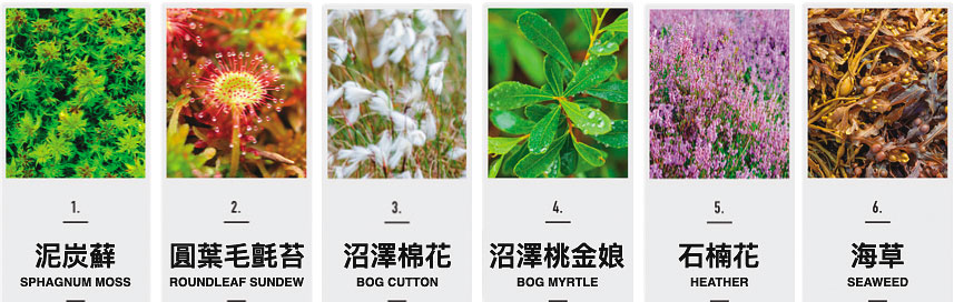 泥煤成分雖以石楠花為主，但其實還有海草、泥炭蘚、圓葉毛氈苔、沼澤棉花、沼澤桃金娘等植物。